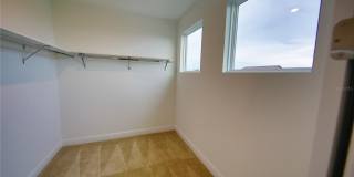 7389 ALPINE BUTTERFLY Lane Gallery 15