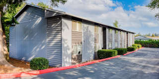 Michael Manor Apartments Gallery 23