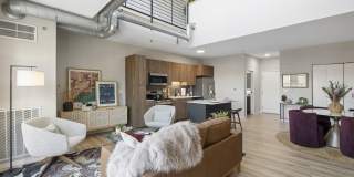 The Ellory Gallery 8