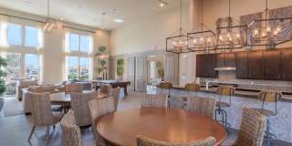 Century Palm Bluff Gallery 14