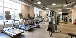 The Southerly Gallery 32