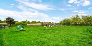 TGM Shadeland Station Gallery 22