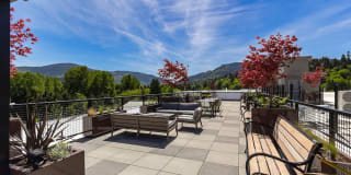 Vale Apartments Gallery 14