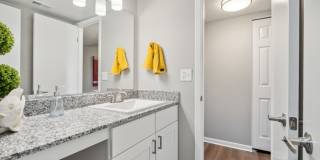 Buena Vista Gallery 74