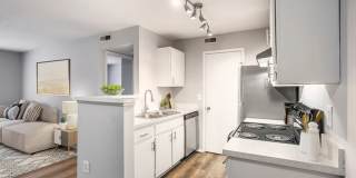 The Poste at Sinclair Gallery 8