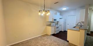 6016 Gallery 10