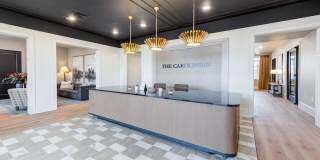 The Carolinian Gallery 11