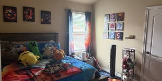 2517 Mugho Drive Gallery 14