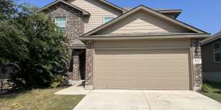 823 Brown Thrasher Gallery 1
