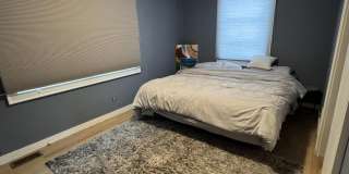 259 Roosevelt Avenue Gallery 9