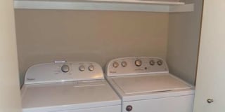 The Palms The Palms Gallery 11