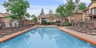 Mountain Springs Gallery 11