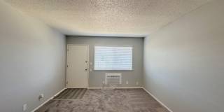 Summer Woods Gallery 13