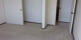 411 Gallery 20