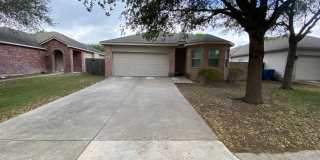 3/2 House near Fisher Park / No Carpet / Fenced in Yard / NBISD Gallery 1