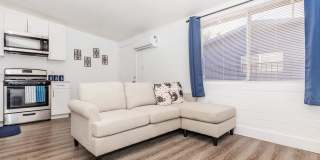 Equinox on Prince Gallery 20