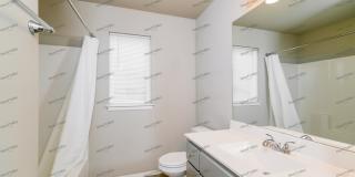 3713 South 12th Place Gallery 11