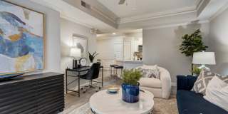 The Aster Buckhead Gallery 8