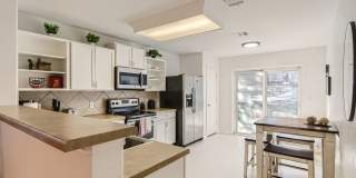 Fully Furnished 3 Bedroom near Greenbelt in Southeast Austin- Easy Access to 35! Gallery 8