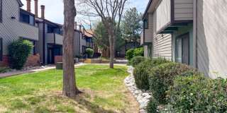 Move-in Incentive! Gallery 25
