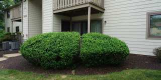 901 THORNTON Court Gallery 1