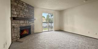 Freshly Updated 2 Bed, 2 Bath Condo for Rent in Denver Gallery 4