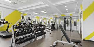 Rose Hill of Alexandria Gallery 11