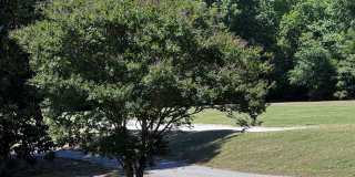2212 Persimmon Ridge Drive Gallery 4