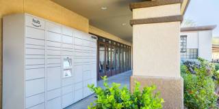 Starrview at Starr Pass Apartment Homes Gallery 9