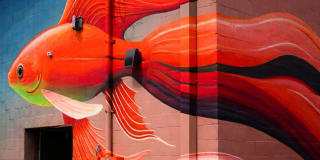Via Emma Gallery 56