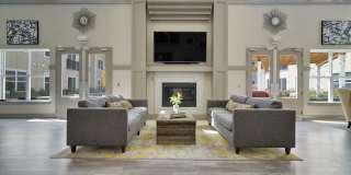 The Grande at Metropark Gallery 8