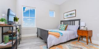 Mihir Taylor Gallery 14