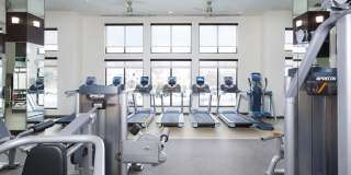 Harrison at Reston Town Center Gallery 25