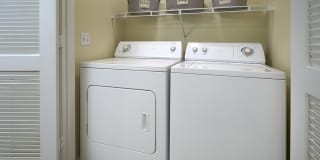 Madison Park Gallery 12