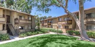 Birchwood Village Apartment Homes Gallery 3