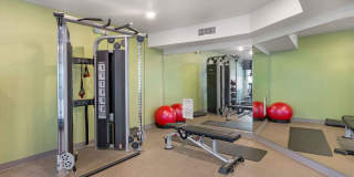 Orlando - Kissimmee Gallery 12