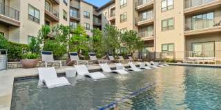 The Standard at Legacy Gallery 53