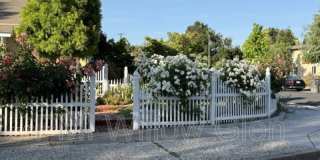 140 Belwood Court Gallery 15