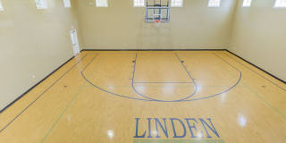 Linden Square Gallery 61