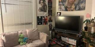 PRELEASE: Spacious 6+ bdrm/2 bath in York Neighborhood Gallery 7