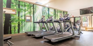 The Seasons Gallery 26