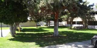 Morain Estates Gallery 13