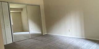Northgate Gallery 219