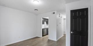 The Palmiere Gallery 8