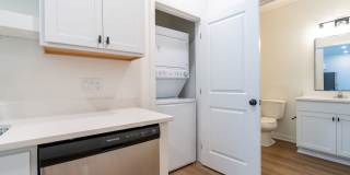 Forest Ave - Luxury Off-Campus Housing! Gallery 24