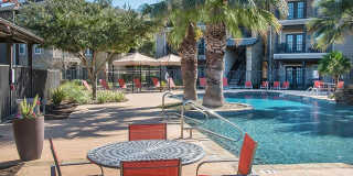 The Palmera Gallery 15