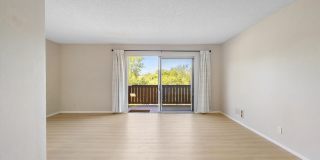 1327 Webster St #B305 - Studio | 1 bath | Condo Gallery 6