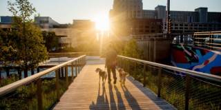 The Reed Gallery 108