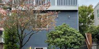 Cindy Manor Gallery 1