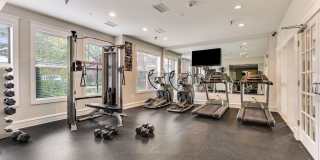 1625 INTERNATIONAL DR #321 Gallery 33